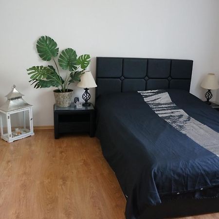 Apartament Na Ratajach 포즈난 외부 사진